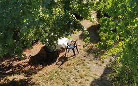 Rendez-vous sous le tilleul, en Cevennes.